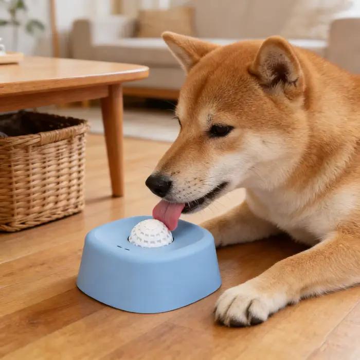 Bol de léchage pour chien à alimentation lente