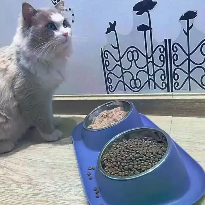 Bol surélevé anti-renversement en acier inoxydable pour animaux de compagnie