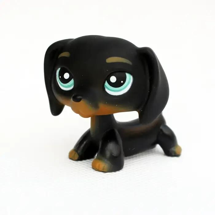 Jouets originaux pour animaux de compagnie