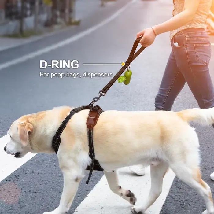 Laisse courte pour chien