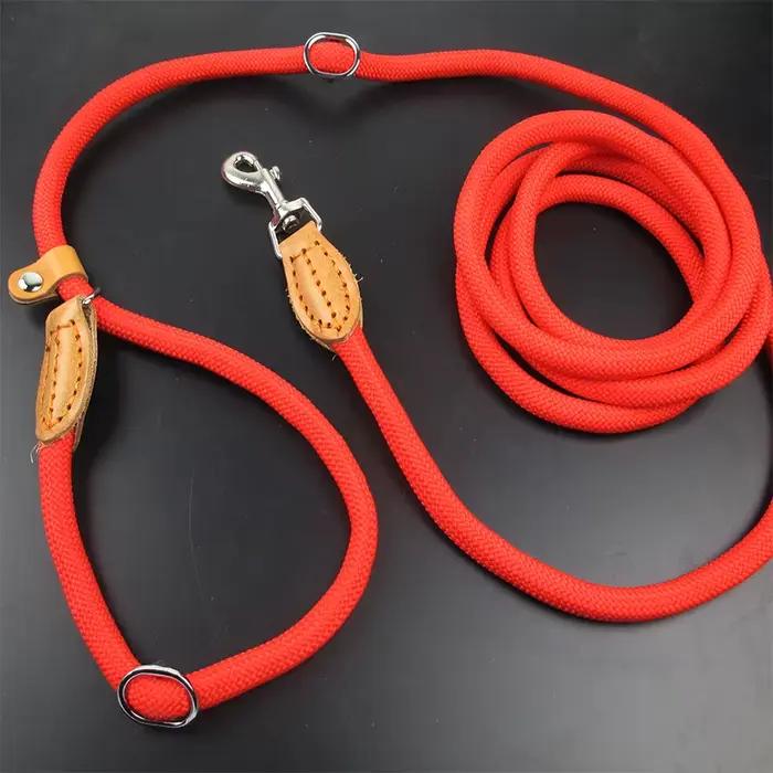 Laisse multifonctionnelle pour chien
