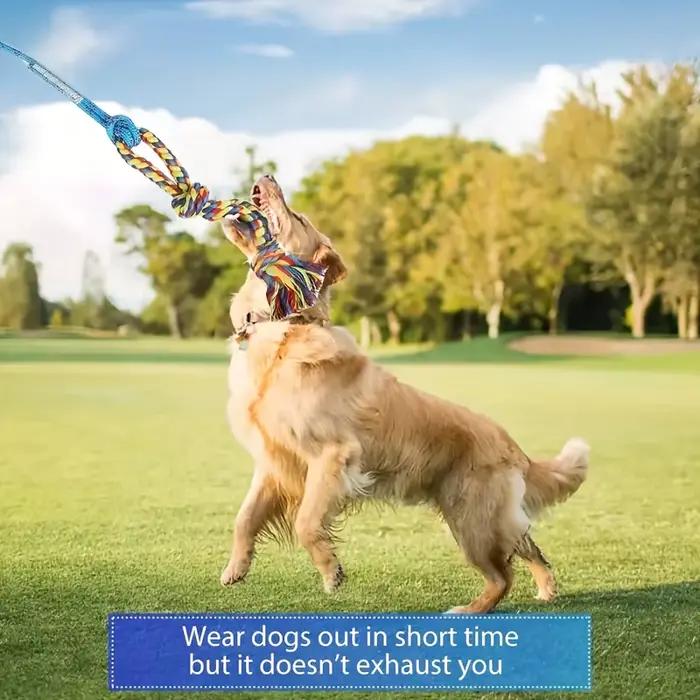 Bâton de dressage et de jeu pour chien