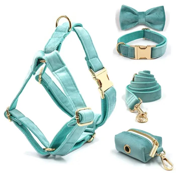 Collier de chien personnalisé Tiffany Blue SFP pour animal de compagnie