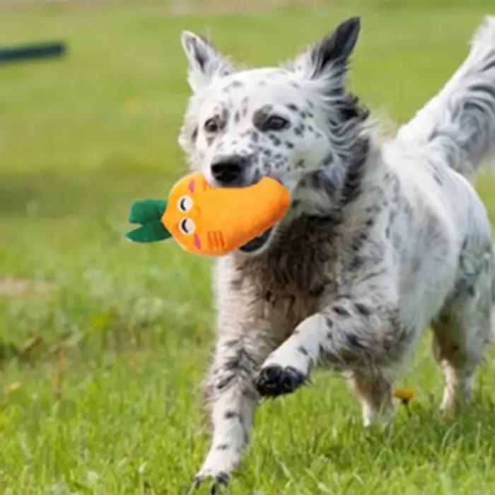 Jouets en peluche grinçants pour chiots