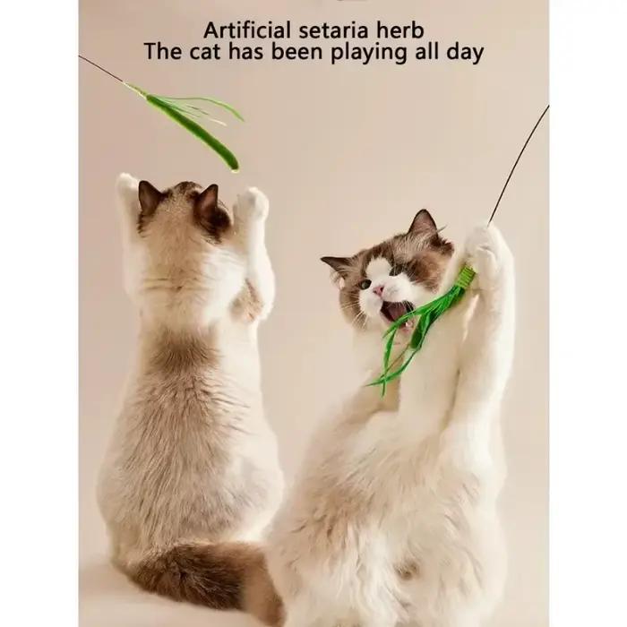 Jouet à mâcher en herbe pour chat et chien