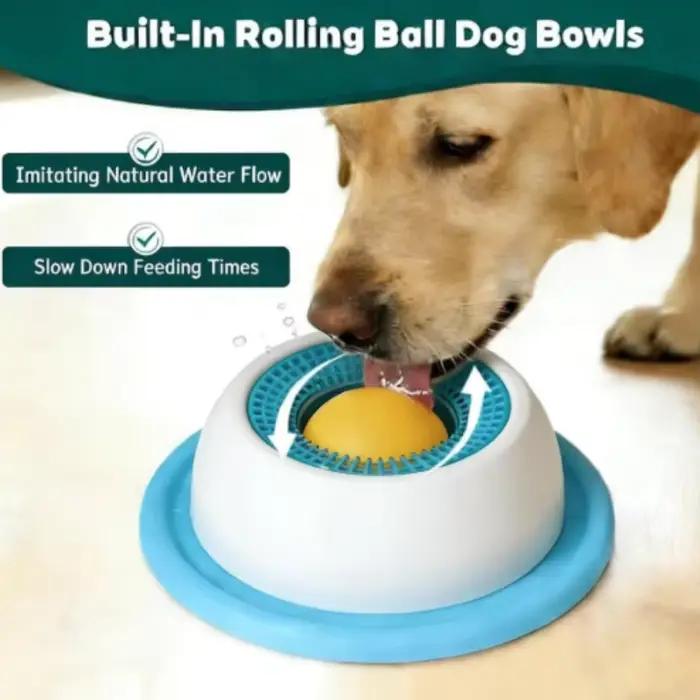 Jouets interactifs pour chiens