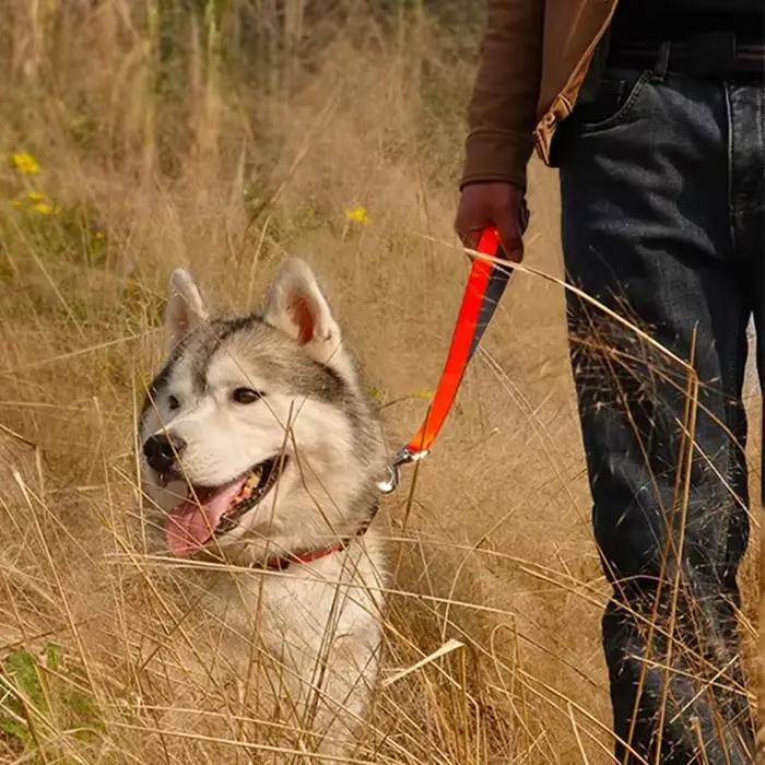 Laisse de printemps en cuir PU pour chiens