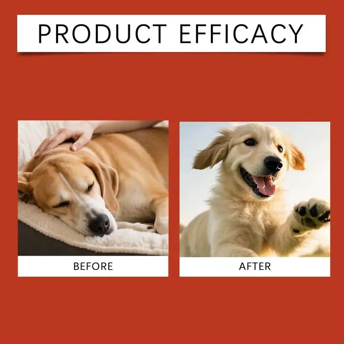 Complément Probiotique pour Animaux de Compagnie - Formule Douce pour Chiens, Soin Quotidien, Soutien au Confort, Santé Digestive et Renforcement Immunitaire