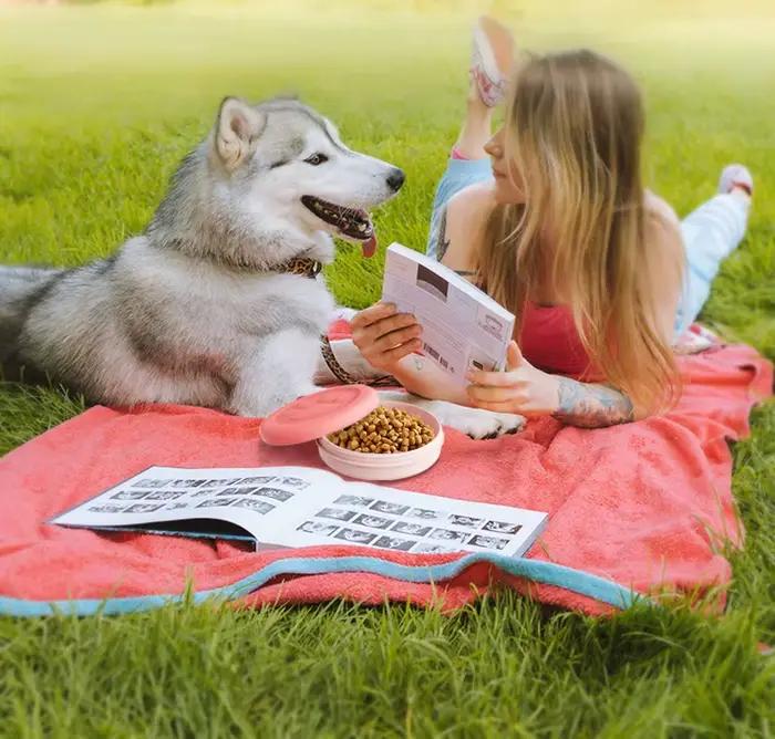 Gamelle portable pour animaux de compagnie