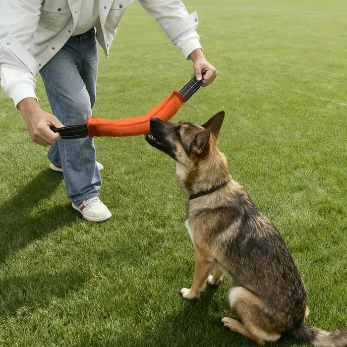 Jouet de remorqueur pour chien
