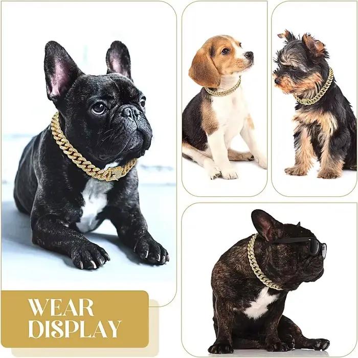 Collier en chaîne pour chien