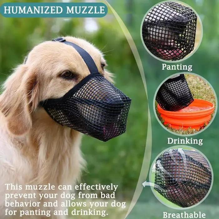 Muselière pour chien