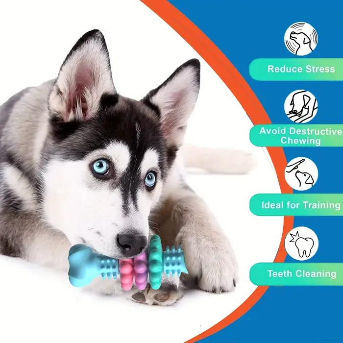 Jouet d'os à mâcher indestructible pour chien
