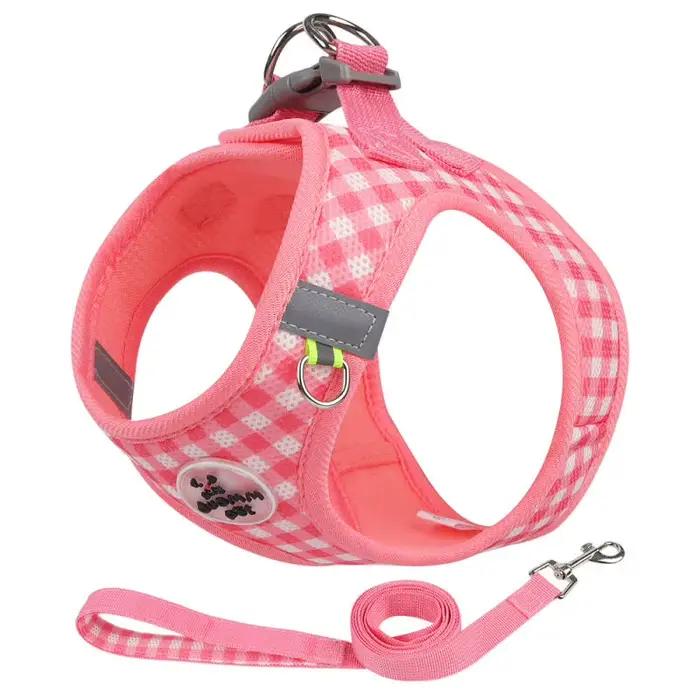 Ensemble harnais et laisse pour chat