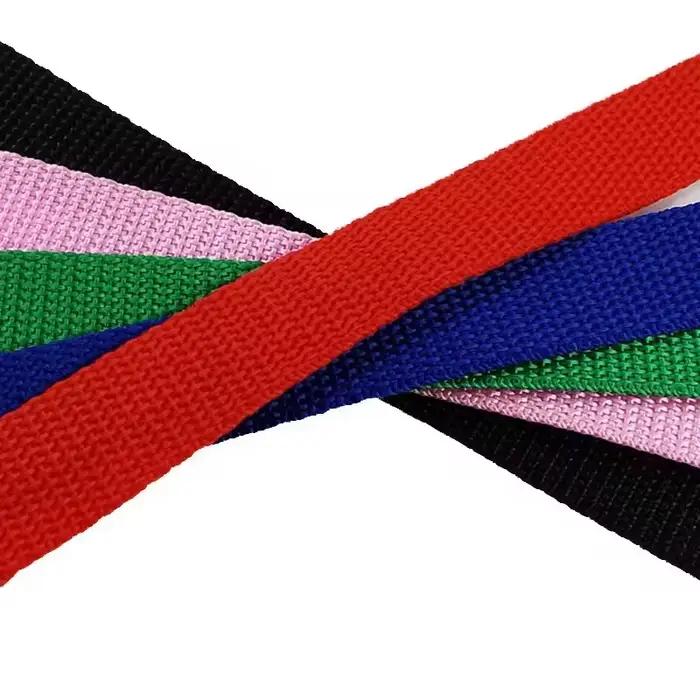 Laisse pour animaux de compagnie Extra longue en Nylon