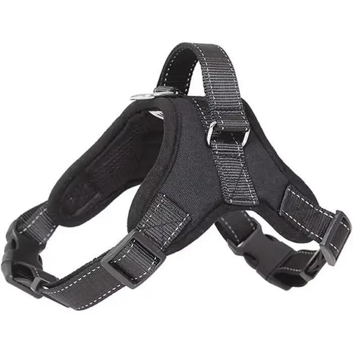 Ensemble laisse et laisse SFP pour chien
