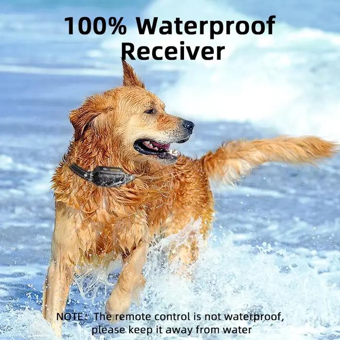 ROJECO collier d'entraînement électrique pour chien 3300 pieds