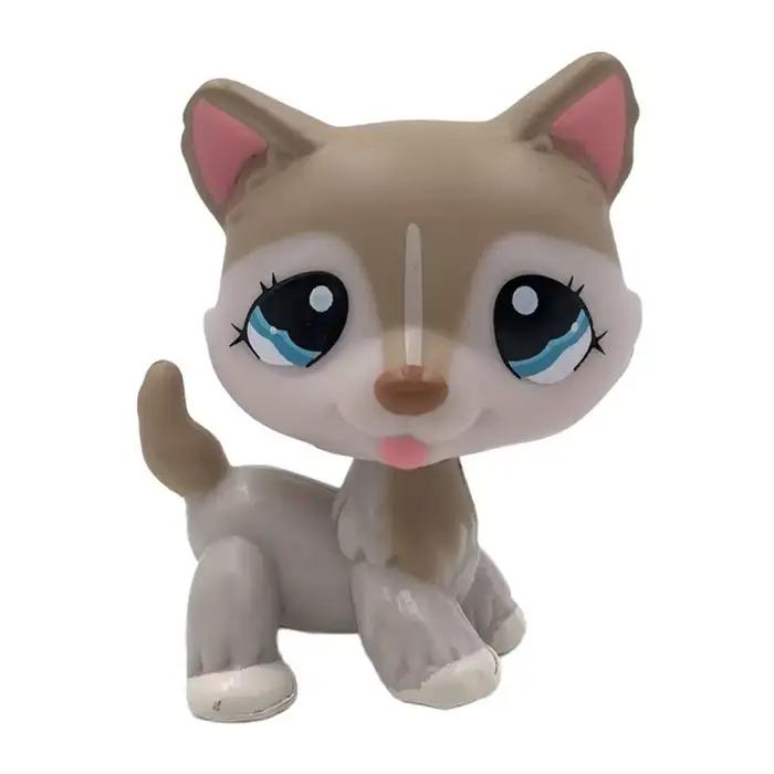Jouet à tête de Bobble pour animal de compagnie