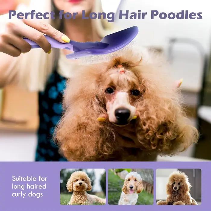 Brosse pour chien pour caniches