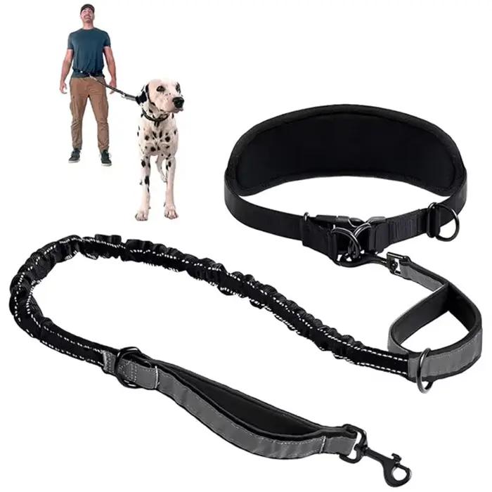 Laisse pour chien mains libres avec ceinture de soutien lombaire