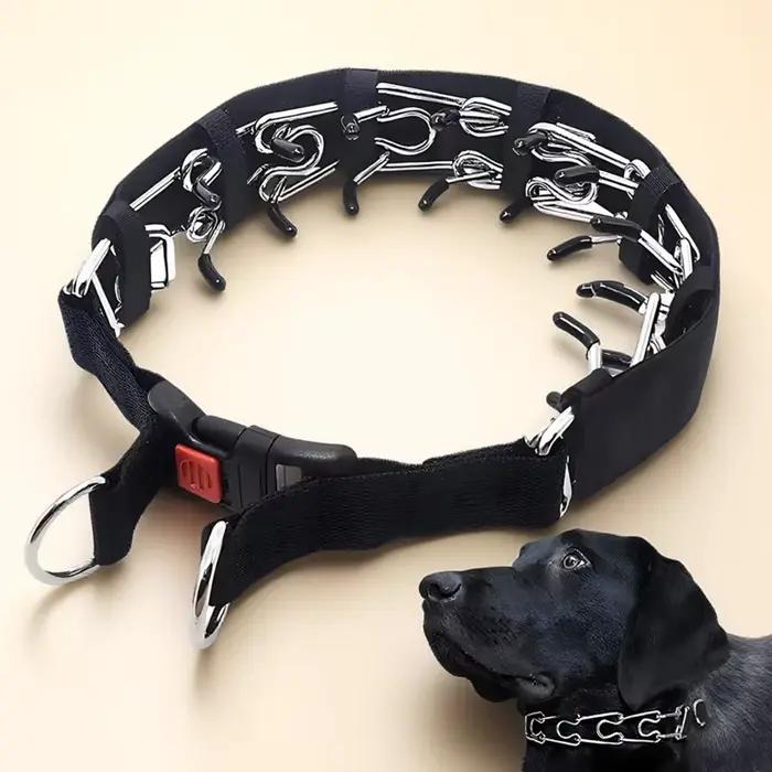 Collier d'entraînement à griffes pour chien