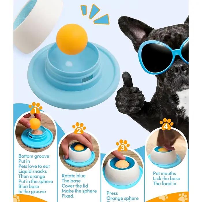 Chien chat lèche nourriture liquide