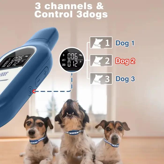 Collier de dressage pour chien 1000M 3 modes de formation