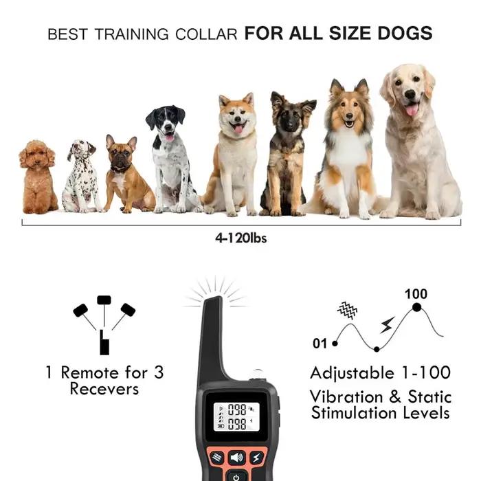 Collier de dressage pour chien 1000M pour toutes les tailles de chiens