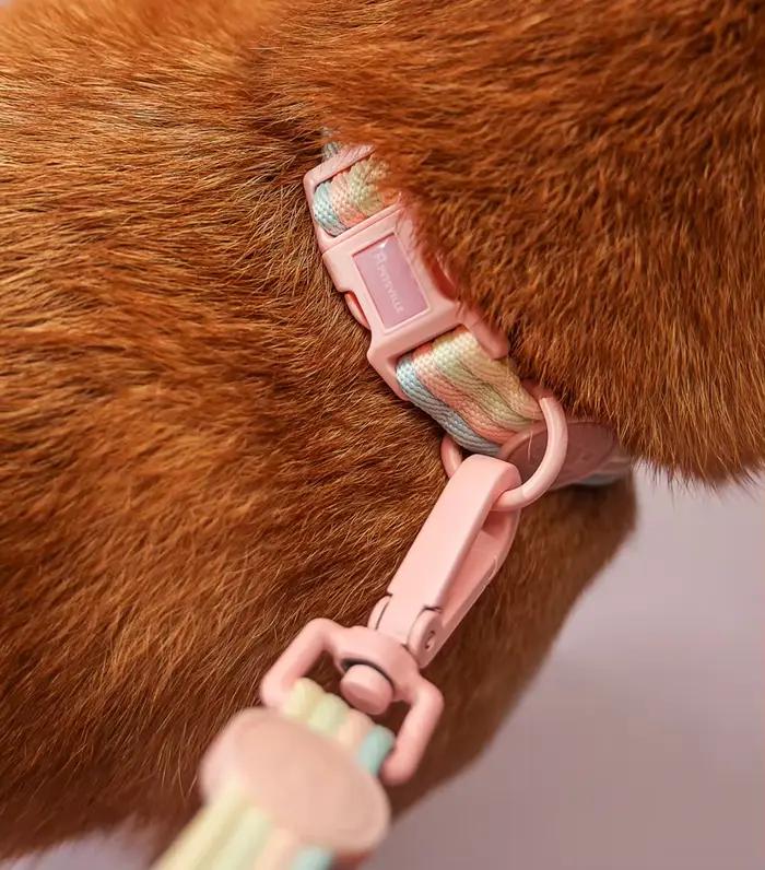 Collier pour chien à blocs de couleurs irisées et harnais confortable