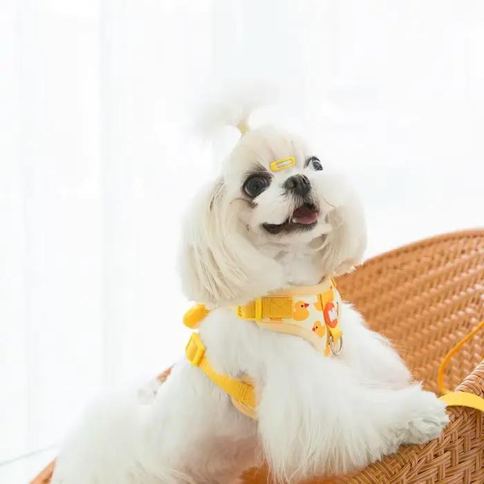 Harnais mignon pour petits chiens