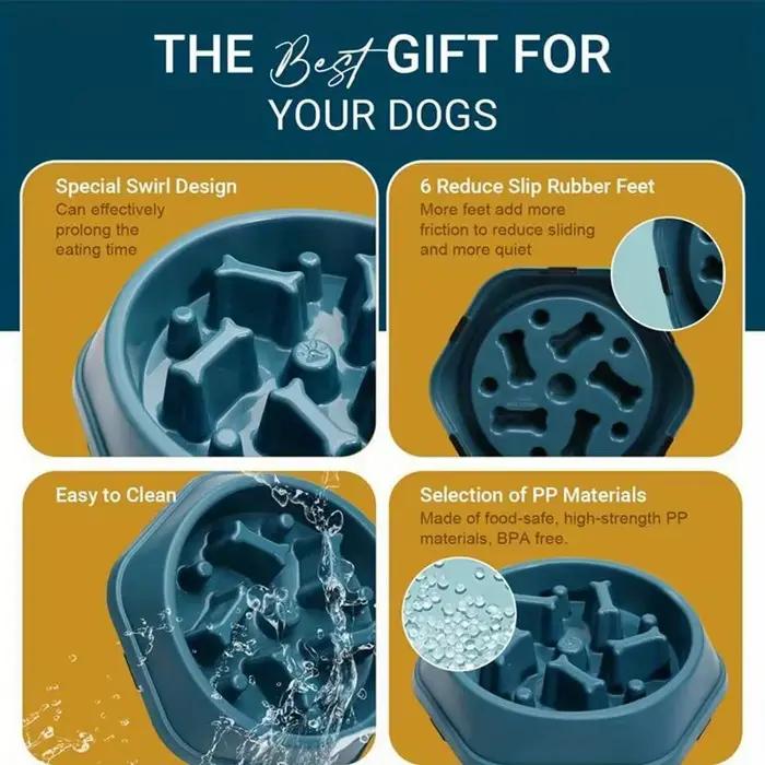 Bol anti-étouffement pour chien