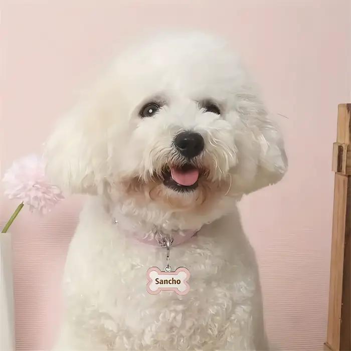 Collier de chien en cuir personnalisé avec étiquette pour animaux de compagnie en forme d'os