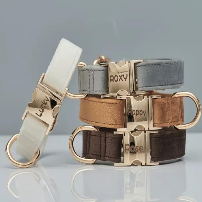 Collier pour chien, anneau de cou pour chat