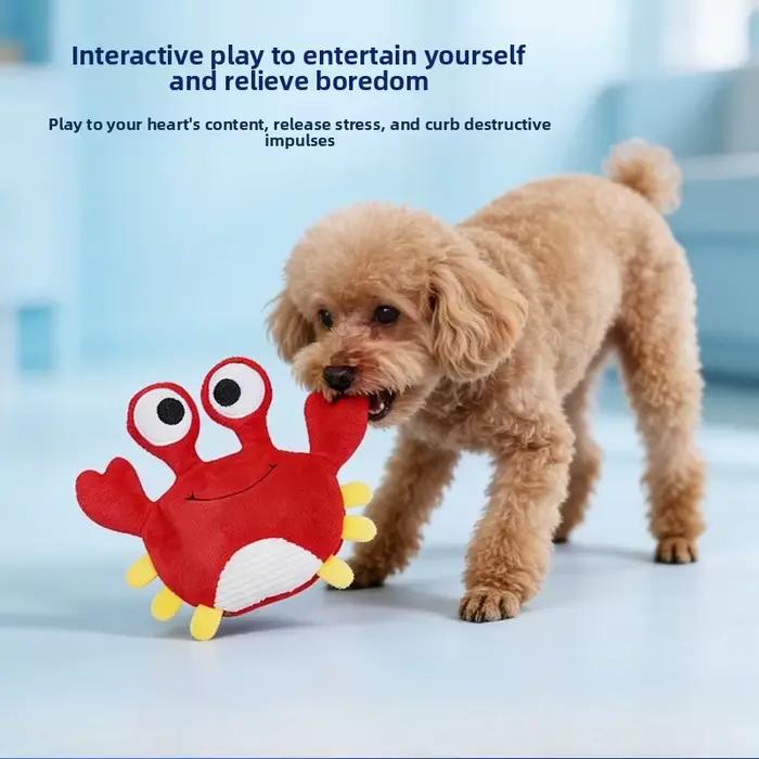 Jouets pour chiens grinçants résistants à la mastication pour petits