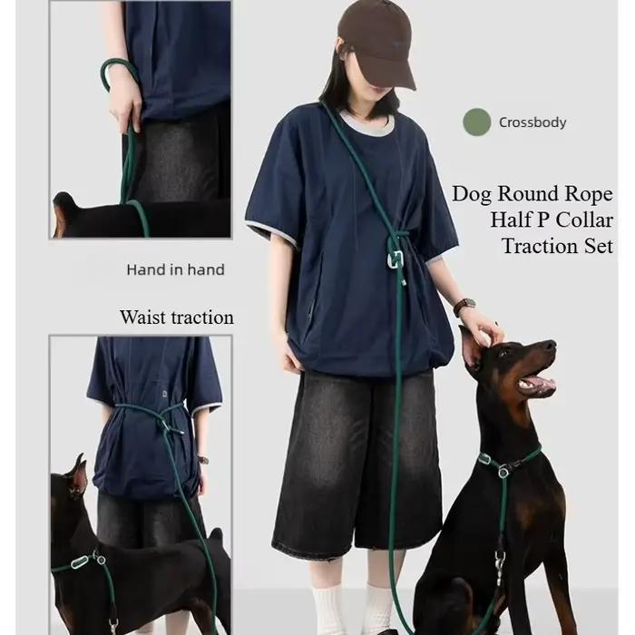 Ensemble collier et laisse pour chien en corde semi-ronde