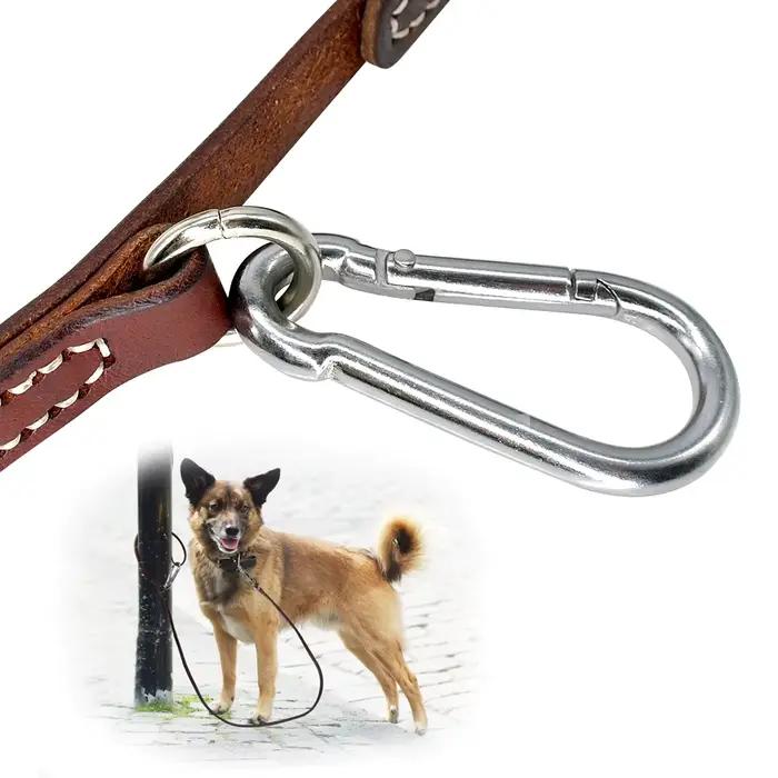 Laisse pour chien Pitbull en cuir