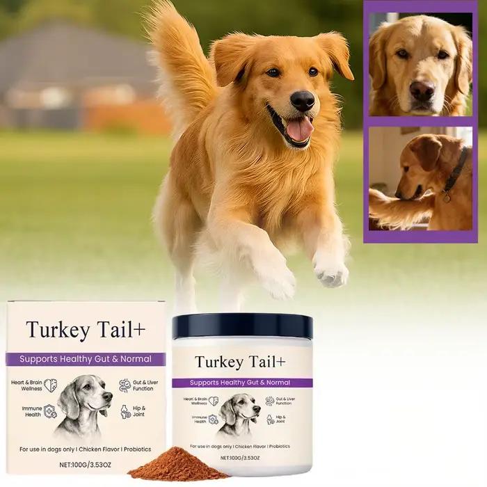 Poudre Probiotique Intestinale pour Chiens 100g Saveur Bacon Délicieuse Équilibre de la Flore