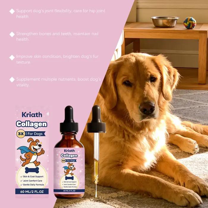 Gouttes de collagène liquide pour chiens améliorent la flexibilité des articulations, renforcent les os, améliorent l'état de la peau, complément nutritionnel quotidien doux pour chiens.