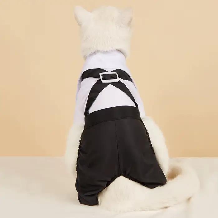 Vêtements pour petits chiens