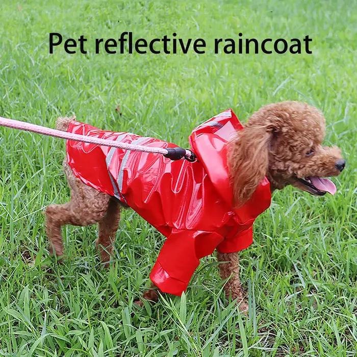 Manteau imperméable réfléchissant pour chien
