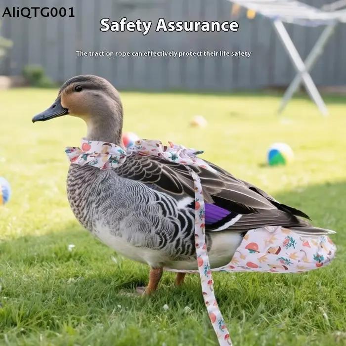 Ensemble de cordes de Traction pour animaux de compagnie