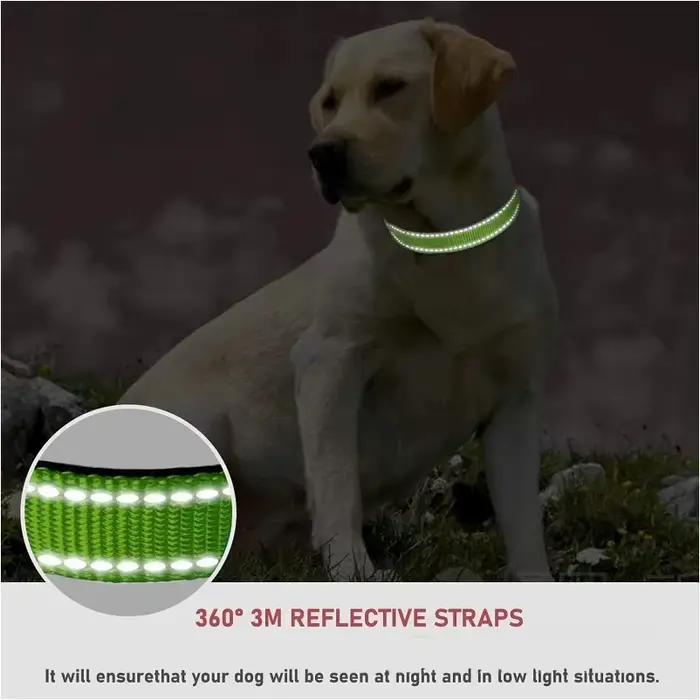 Collier ras du cou pour petit chien