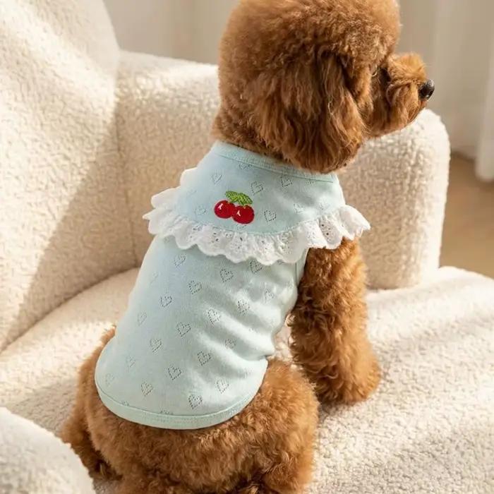 Gilet en dentelle pour chien à col volanté