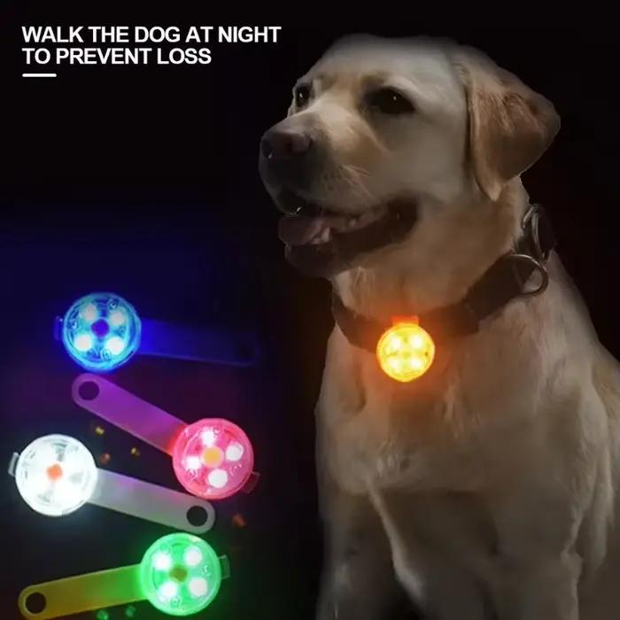 Collier pour chien, collier de perte