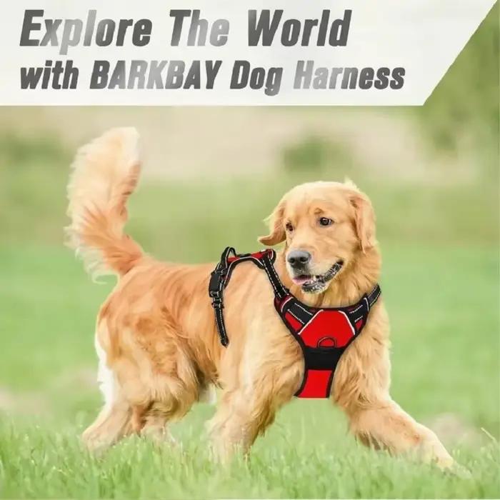 Harnissan RapDuty Casting pour grand chien