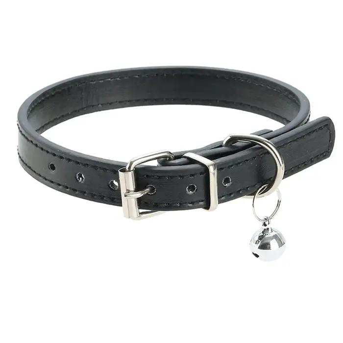 Collier pour animaux de compagnie en cuir