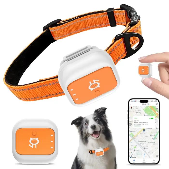 Collier GPS 4G pour chiens et chats