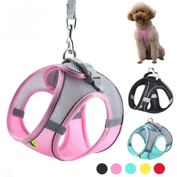 Ensemble d'accessoires réglables pour chiots et chats