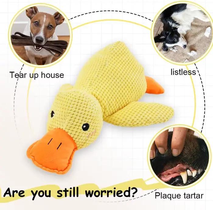 Jouet en peluche pour chien