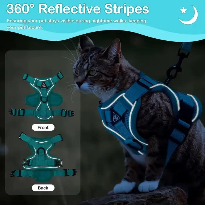 Ensemble harnais et laisse pour chat